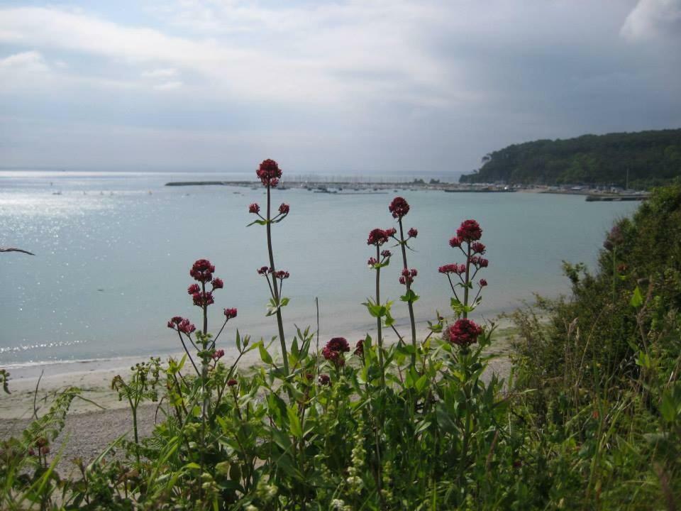 Cap Morgat Chez Jean Apartamento Crozon Exterior foto